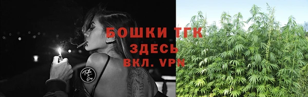 стафф Нефтекумск