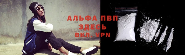 стафф Нефтекумск